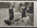 Mostra canina sotto il Fascismo-Hundeaustellung unter dem Faschismus 001 _10_.jpg