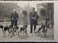 Mostra canina sotto il Fascismo-Hundeaustellung unter dem Faschismus 001 _12_.jpg