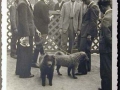 Mostra canina sotto il Fascismo-Hundeaustellung unter dem Faschismus 001 _16_.jpg