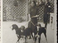 Mostra canina sotto il Fascismo-Hundeaustellung unter dem Faschismus 001 _21_.jpg