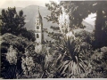 Bellissime immagini cartolina di Merano e dintorni- Viele wunderschoene Bilder von Meran und Umgebungen _12_.jpg