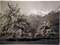 Bellissime immagini cartolina di Merano e dintorni- Viele wunderschoene Bilder von Meran und Umgebungen _20_.jpg