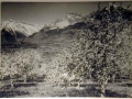 Bellissime immagini cartolina di Merano e dintorni- Viele wunderschoene Bilder von Meran und Umgebungen _21_.jpg