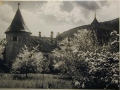 Bellissime immagini cartolina di Merano e dintorni- Viele wunderschoene Bilder von Meran und Umgebungen _25_.jpg