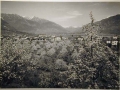 Bellissime immagini cartolina di Merano e dintorni- Viele wunderschoene Bilder von Meran und Umgebungen _30_.jpg