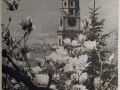 Bellissime immagini cartolina di Merano e dintorni- Viele wunderschoene Bilder von Meran und Umgebungen _33_.jpg