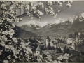 Bellissime immagini cartolina di Merano e dintorni- Viele wunderschoene Bilder von Meran und Umgebungen _43_.jpg