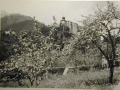 Bellissime immagini cartolina di Merano e dintorni- Viele wunderschoene Bilder von Meran und Umgebungen _69_.jpg