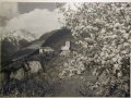 Bellissime immagini cartolina di Merano e dintorni- Viele wunderschoene Bilder von Meran und Umgebungen _71_.jpg