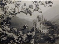 Bellissime immagini cartolina di Merano e dintorni- Viele wunderschoene Bilder von Meran und Umgebungen _76_.jpg