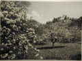 Bellissime immagini cartolina di Merano e dintorni- Viele wunderschoene Bilder von Meran und Umgebungen _82_.jpg