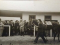 Sport in Meran -a Merano_ 1930-1950 _43_.jpg